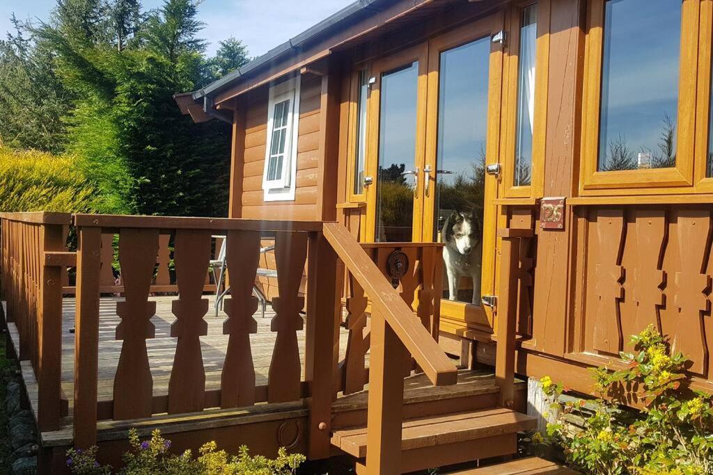 Cabin Trawsfynydd Exterior foto